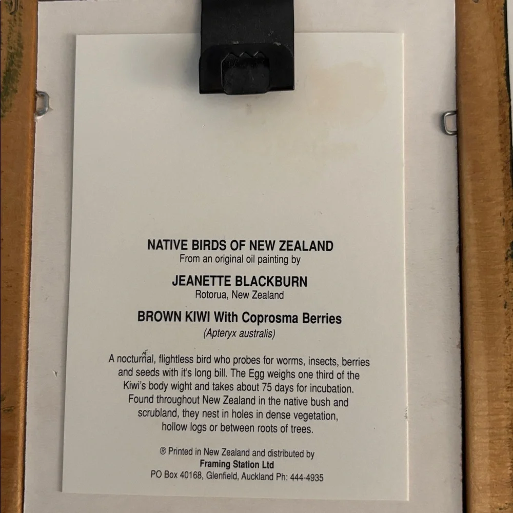 Set of Two Framed Native Birds of New Zealand - Picture 7 of 7